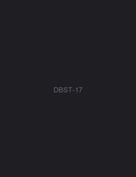 单板滑雪手套 17