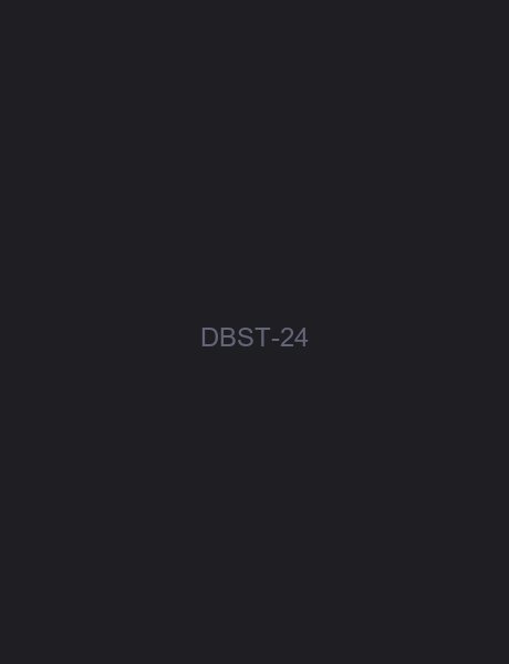 单板滑雪手套 24