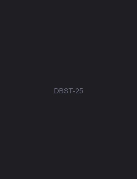 单板滑雪手套 25